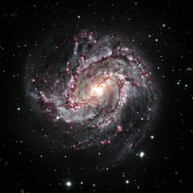 Messier 83 is a barred spiral galaxy in the constellation Hydra. clipart