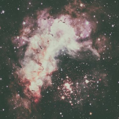 Süper yıldız kümesi Westerlund 2 Karina takımyıldızı.