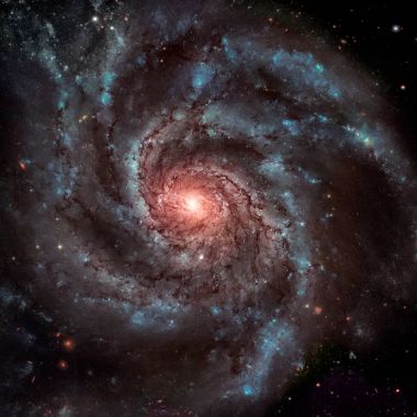 Fırıldak Gökadası. Büyük Ayı takımyıldızındaki sarmal gökada.