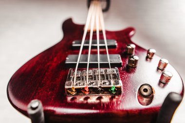 Gül ağacı bas elektro gitar portre