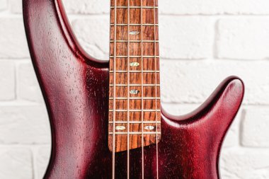 Gül ağacı bas elektro gitar portre