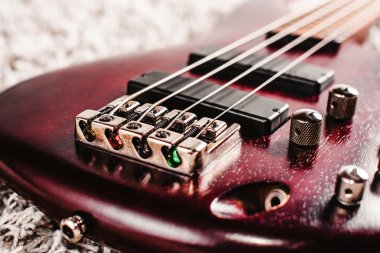 Gül ağacı bas elektro gitar portre