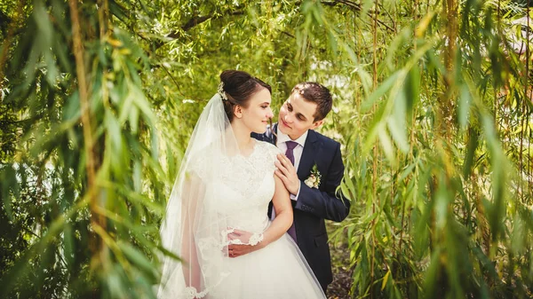 Sposa e sposo in posa insieme — Foto Stock