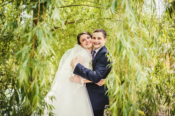 Sposa e sposo in posa insieme — Foto Stock