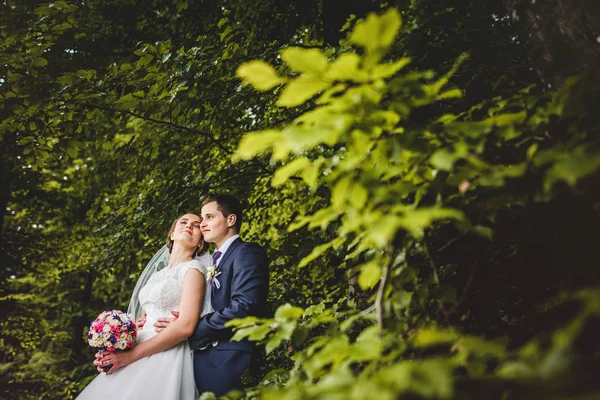 Portret van de bruid en bruidegom op het bos — Stockfoto