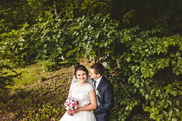 A menyasszony és a vőlegény az erdő a portré — Stock Fotó