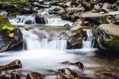 Şelale kadar yakın