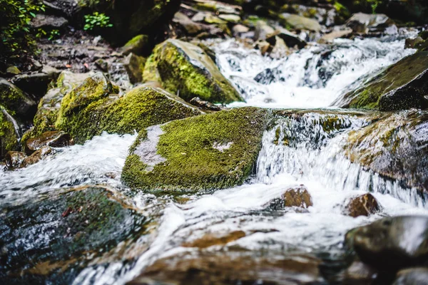 Cascade de près — Photo