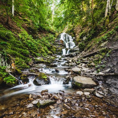 Ukrayna'nın şelale Shypit