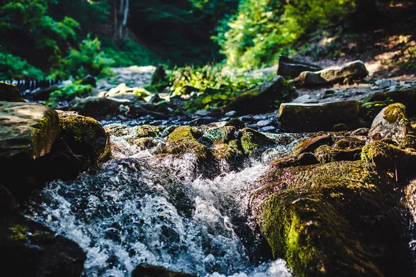 Şelale kadar yakın