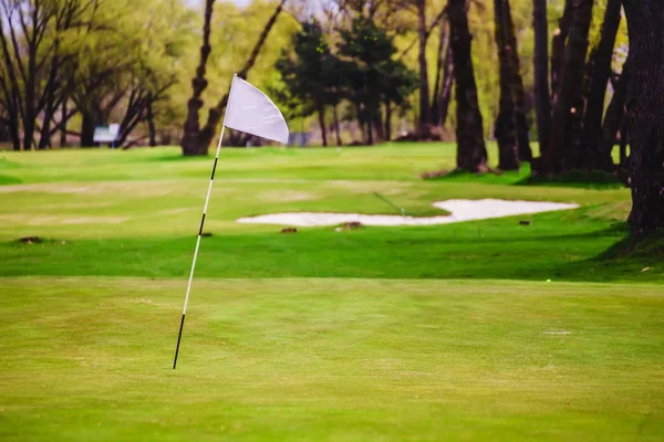 Bandera de golf ondeando Imágenes de stock libres de derechos