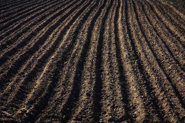 Чорноземне поле з оранкою. Текстура Землі — стокове фото