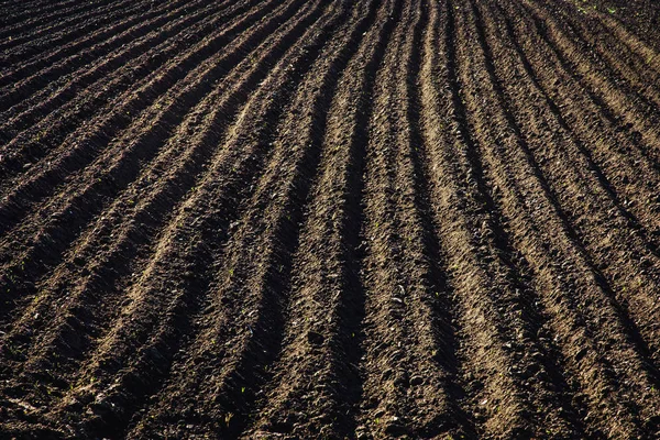 Black soil plowed field. Earth texture — Stock Photo, Image