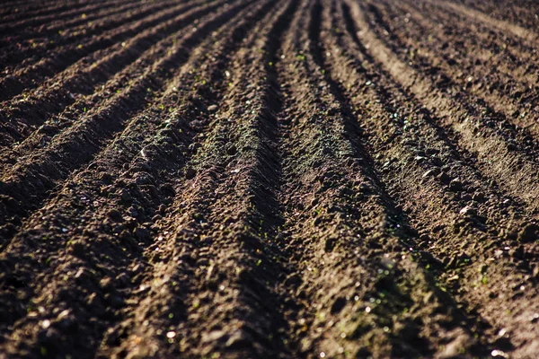 Fekete talaj felszántott mező. Föld textúra Jogdíjmentes Stock Képek