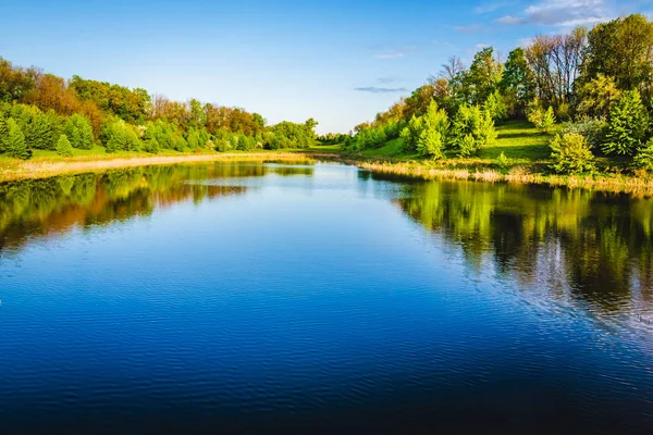 Nyári-tó az erdő közelében. Jogdíjmentes Stock Fotók