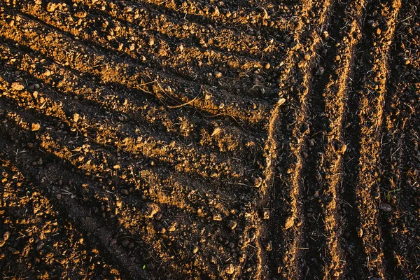 Black soil plowed field. Earth texture — Stock Photo, Image