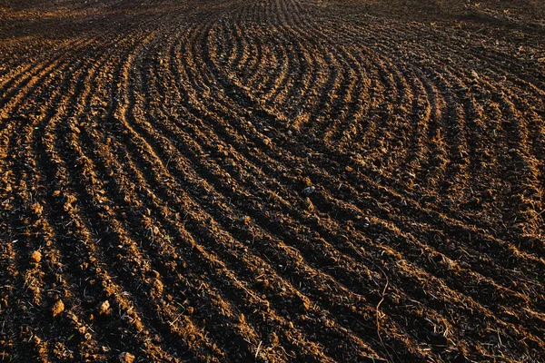 Fekete talaj felszántott mező. Föld textúra Stock Kép