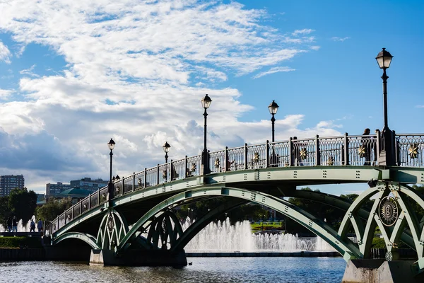 Brug over de vijver — Stockfoto