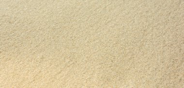 arka plan için kum doku.