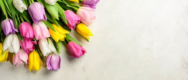 bouquet of tulips on white background.Top view.