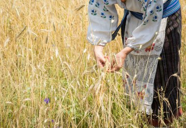 Ukrayna hasat başlangıcı geleneği