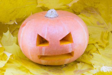 Cadılar Bayramı kavramı sarı yapraklarda