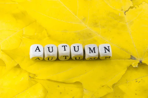 Folhas de outono como um símbolo do outono — Fotografia de Stock