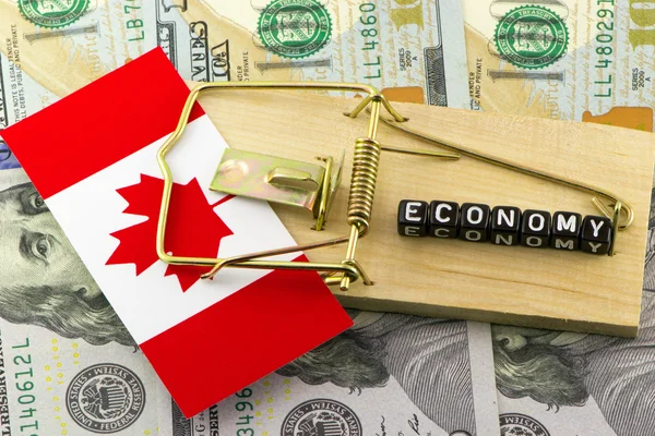 Kanada'da ekonomik borç