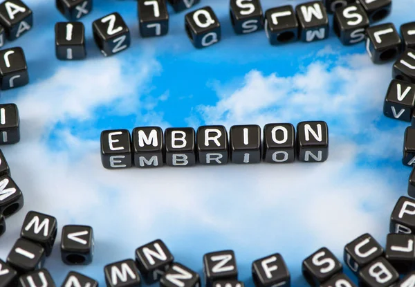 在天空背景上的字 embrion — 图库照片