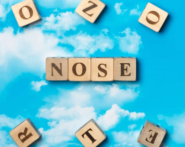 Слово Нос на фоне неба — стоковое фото