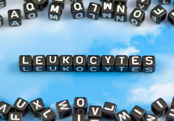 La palabra leucocitos en el fondo del cielo —  Fotos de Stock