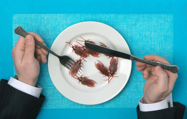 Hamamböcekleri yemek