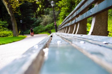 Banklar parkta yakın çekim