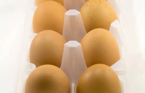 Two rows of eggs in a plastic tray on a white background — Stock Photo, Image