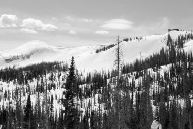 Kayak pistleri siyah-beyaz görünümlü kişi