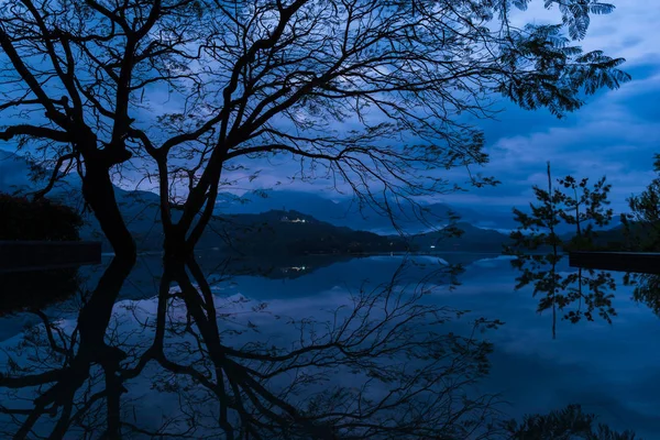 Un árbol que se refleja durante la hora azul — Foto de Stock