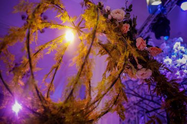 Kapalı alan balosu, resepsiyon dekorasyonu 