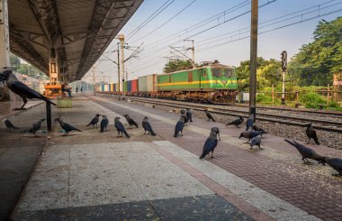 Yük treni terk edilmiş tren istasyonu bir sisli kış sabahı geçiş Hint Demiryolları.