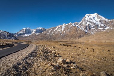 Himalaya dağ aralıkları ve Kuzey: Sikkim, India, vahşi yaks için otlatma mera.