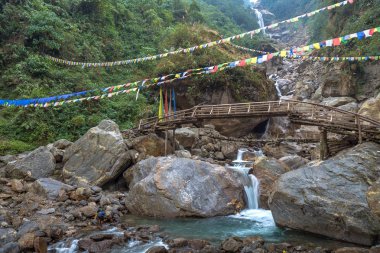 Naga şelale Kuzey: Sikkim, India dağlarında.