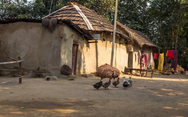 Indian rural village with mud huts, poultry and an old tribal woman standing on the courtyard.
