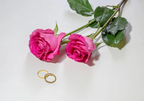 Romantiskt innehåll med ljusrosa rosor och sten dubbade guld förlovnings ringar i ljus bakgrund. — Stockfoto