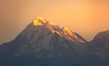 Trishul Himalaya kar zirvesi Uttarakhand Hindistan 'dan gün batımında görüldüğü gibi yakından görünüyor..