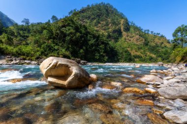 Gori Ganga dağı nehri gün doğumunda yoğun ormanlarla çevrili Munsiyari, Uttarakhand, Hindistan
