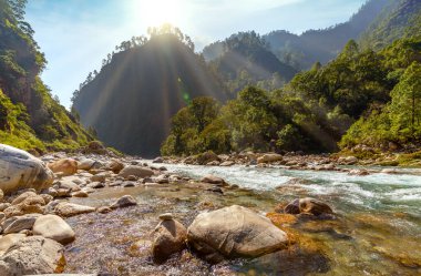 Gori Ganga dağı nehri gün doğumunda yoğun ormanlarla çevrili Munsiyari, Uttarakhand, Hindistan