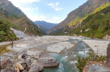 Himalaya manzaralı dağ nehir vadisi Munsiyari Uttarakhand, Hindistan 'da su kuşlarıyla çevrili.. 