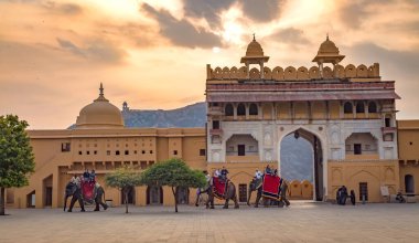 Jaipur, Rajasthan, Hindistan, 11 Aralık 2017: Turistlerle süslenmiş Hint filleri Amer Kalesi 'ne güneş doğarken girdiler.