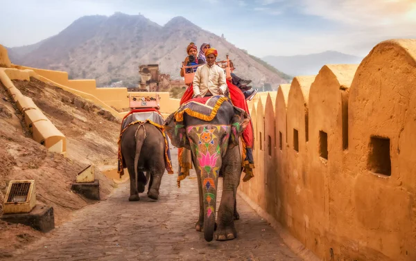 Jaipur Rajasthan India December 2017 Decorated Elephants Tourists Way Historic — Stock Photo, Image