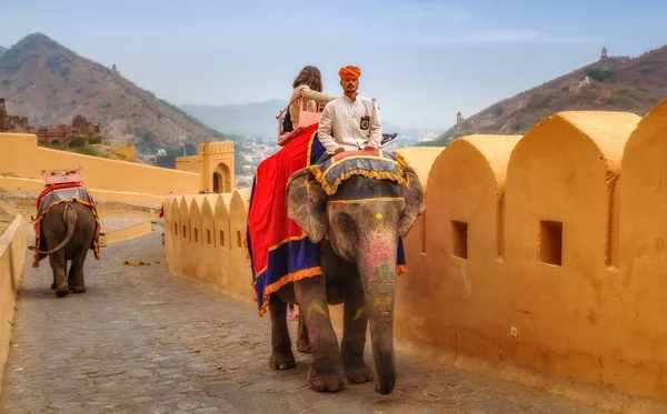 Jaipur Rajasthan India Dicembre 2017 Elefanti Decorati Con Turisti Viaggio — Foto Stock