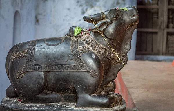 バラナシ インディアでの祈りと供物のために使用されるヒンズー教の寺院での聖なる牛の壮大な彫刻 — ストック写真